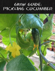 Grow Guide: Pickling Cucumber
