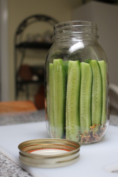 pickles-post-imgur